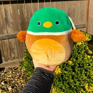 Avery the Mallard Duck squishmallow 8"